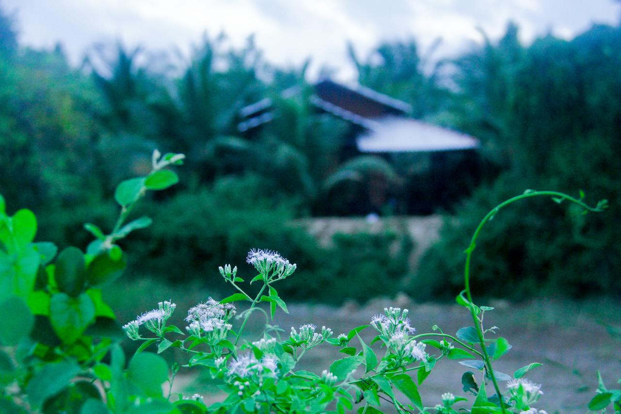 Yalaway Nature Villa ทิซซามาฮารามา ภายนอก รูปภาพ