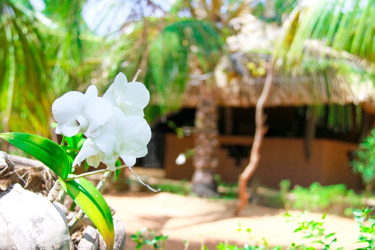 Yalaway Nature Villa ทิซซามาฮารามา ภายนอก รูปภาพ