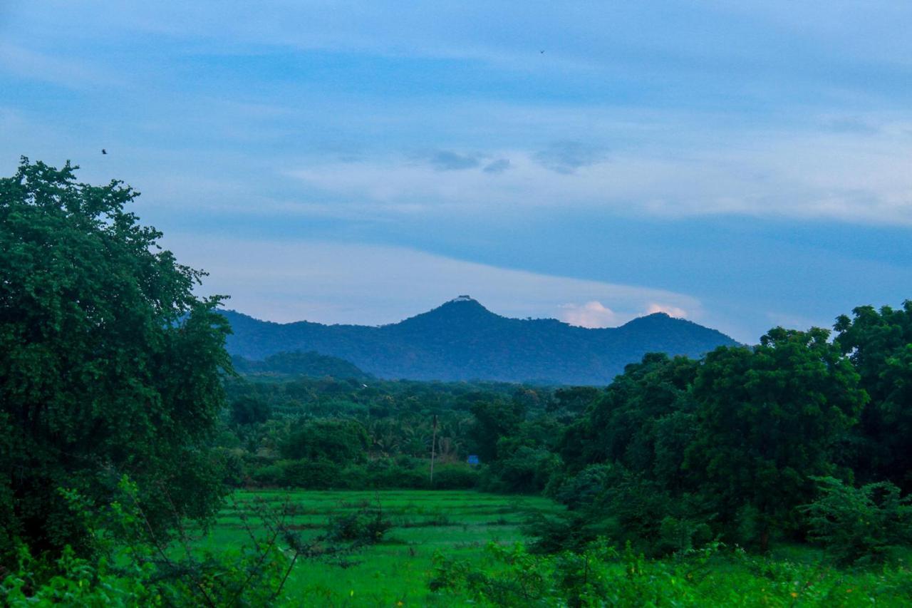 Yalaway Nature Villa ทิซซามาฮารามา ภายนอก รูปภาพ